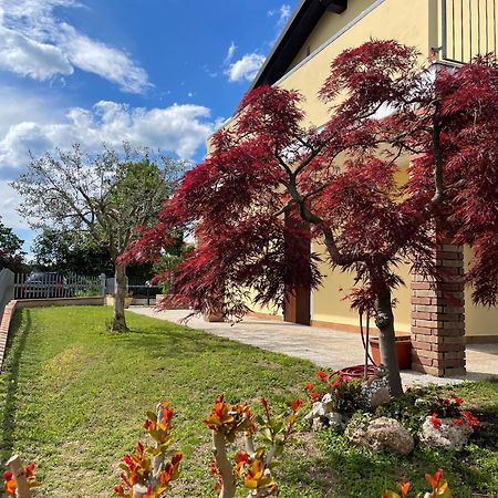 Casa Giulia Villa Monzambano Ngoại thất bức ảnh